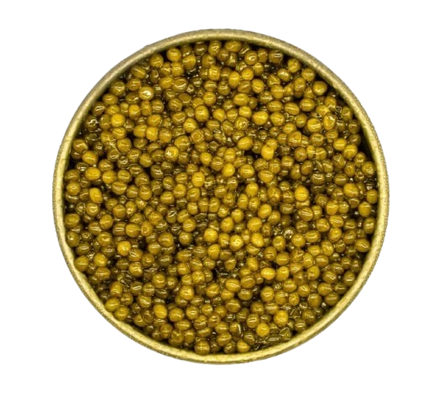 Golden Osetra