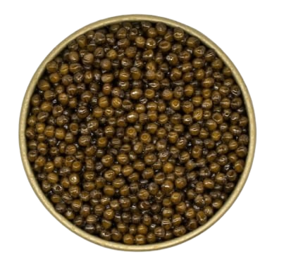 Kaluga Amber