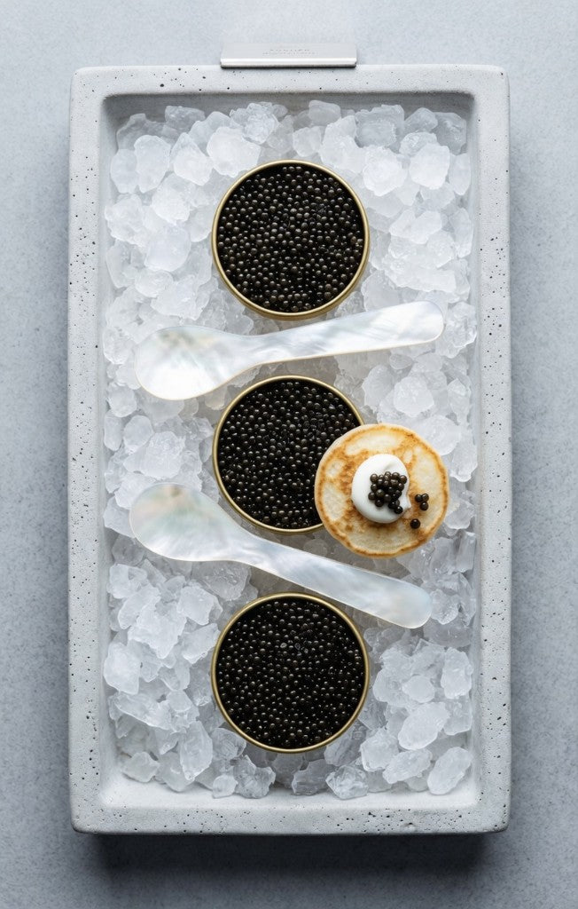 Bashtian caviar wholesale presentation
